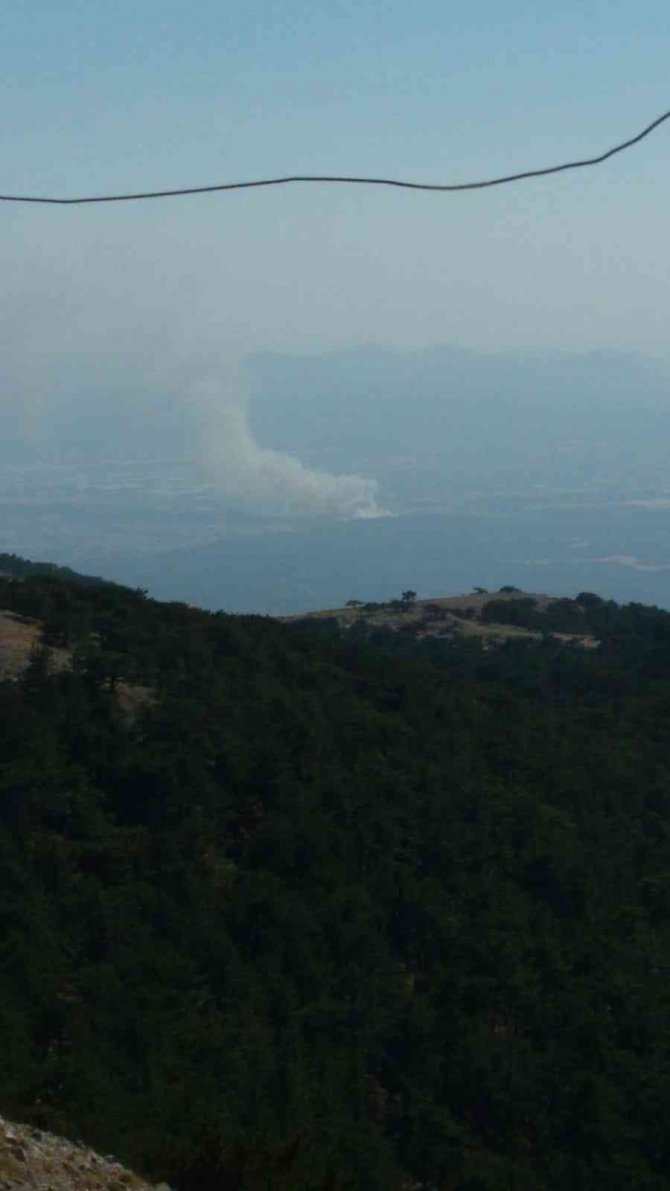 İ̇zmir’de Orman Yangını