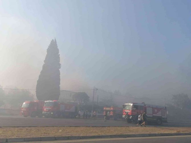 İ̇zmir’de Çıkan Yangın Kontrol Altına Alındı