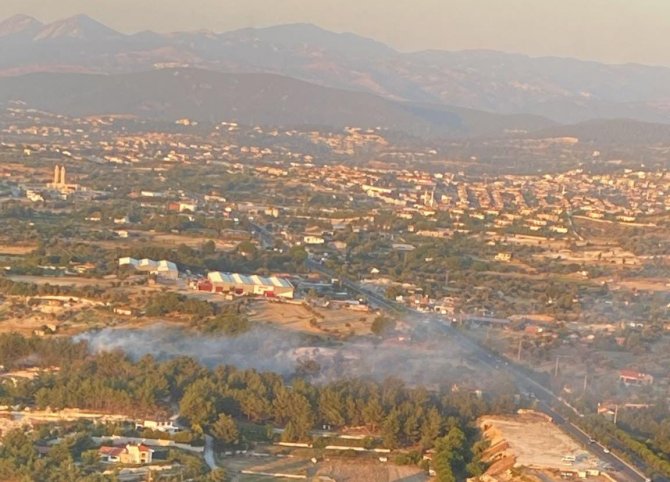 İ̇zmir’de Ağaçlık Alanda Yangın