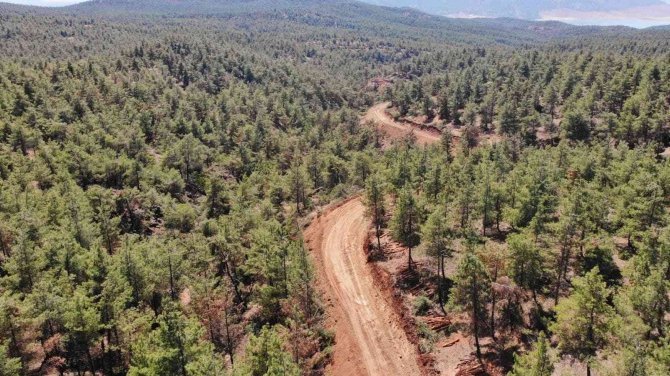 Kilis’te Orman Denetimi