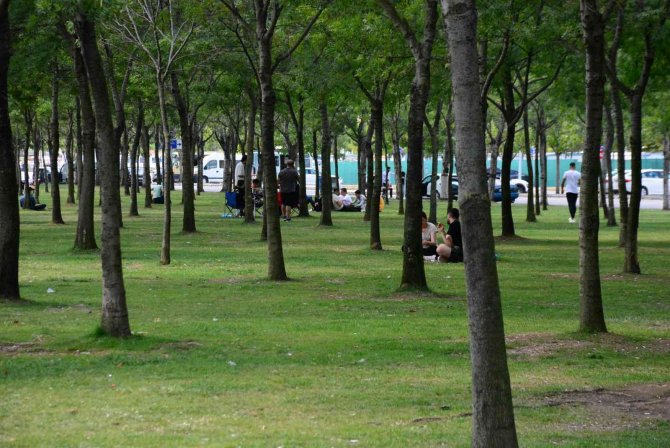 Kocaeli’de Sıcaktan Bunalan Soluğu Sahilde Aldı