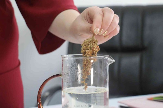 Türk Mutfağının Vazgeçilmezi ’Sumak’ Adeta Şifa Deposu