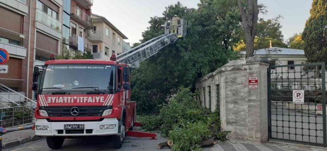 Üsküdar’da Asırlık Ağaç Otomobilin Üzerine Devrildi