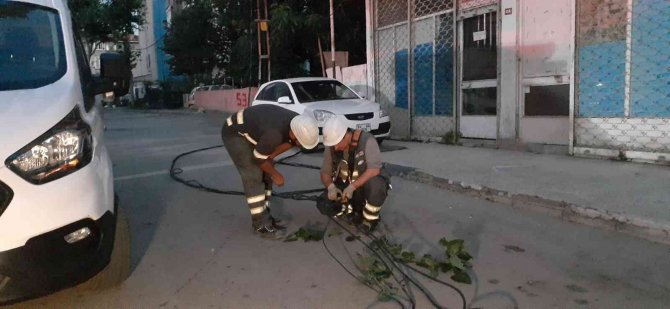 Kadıköy’de Dut Ağacı Kökünden Koparak Devrildi