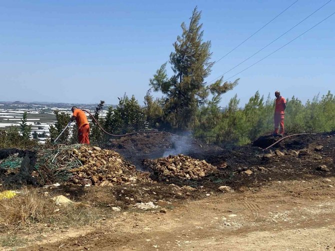 Antalya’da Ormanlık Alanda Çıkan Yangın Korkuttu