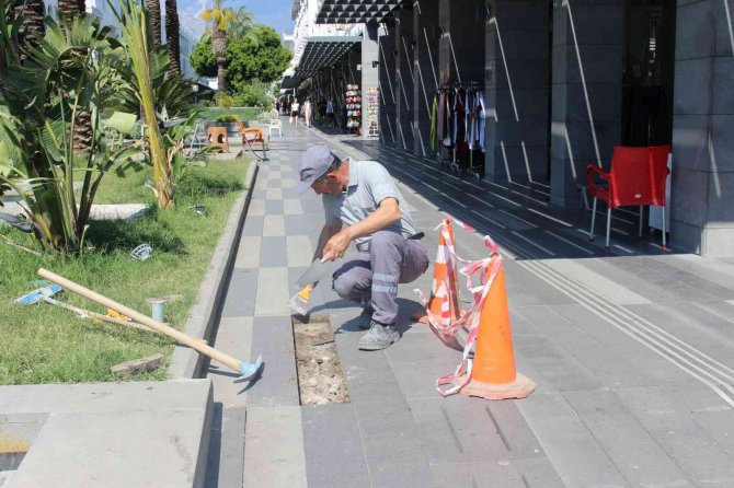 Kemer Peyzaj Çalışmalarıyla Renklenecek