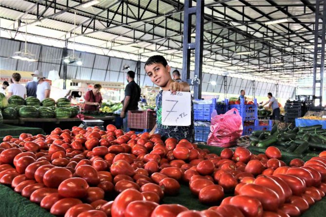 Antalya’da Dört Gözle Beklenen Yayla Domatesi Pazarla Buluştu