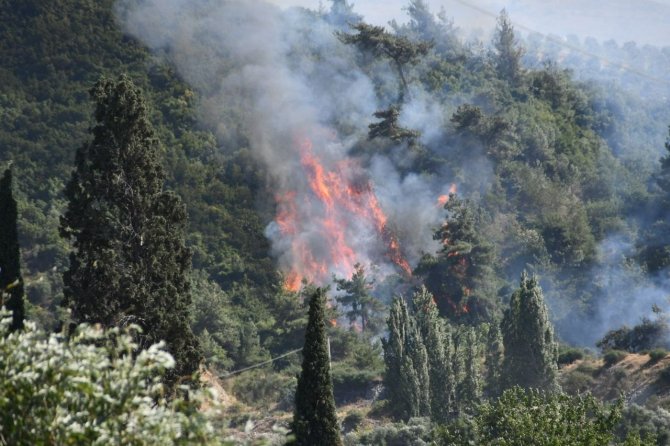 Ekipler Seferber Oldu, Yangın Kontrol Altına Alındı