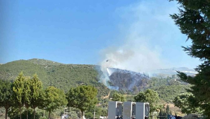 Aydın’da Orman Yangını