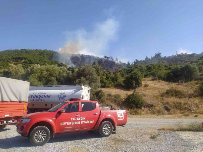 Aydın’da Orman Yangını