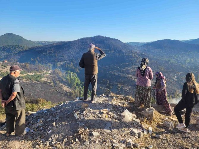 Yanan Orman Alanları Havadan Görüntülendi