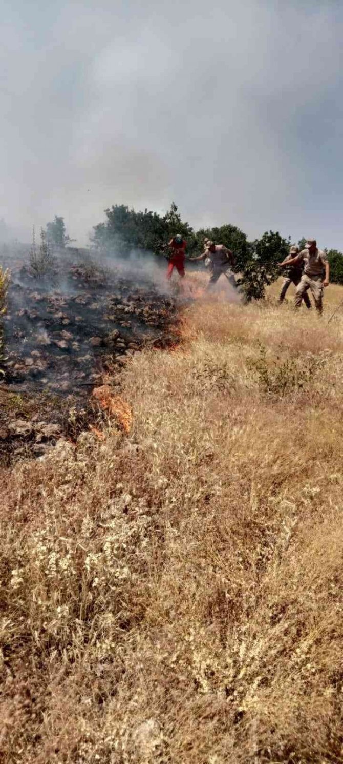 Bingöl’de Orman Yangını Büyümeden Söndürüldü