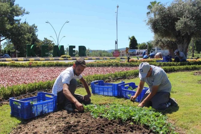 Kemer Peyzaj Çalışmalarıyla Renklenecek