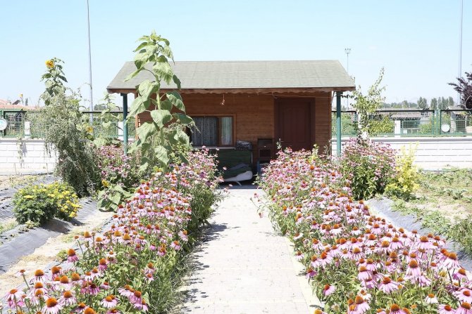 Büyükşehir’in ’Doğal Ürünler Bahçesi Pazarı’ Açılıyor