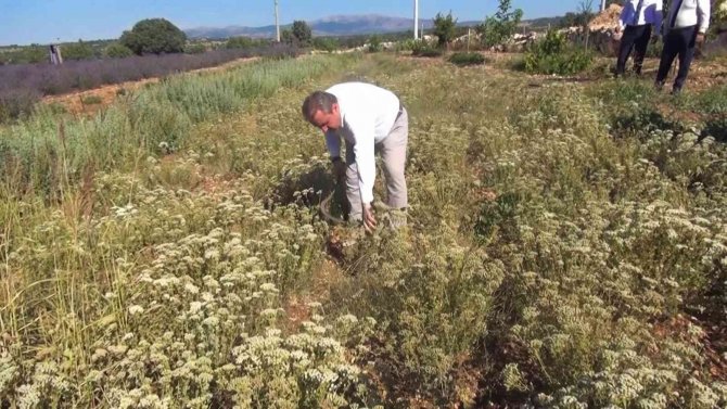 Destici: “Muhalefetin Elinde Koz Bırakmayacağız”