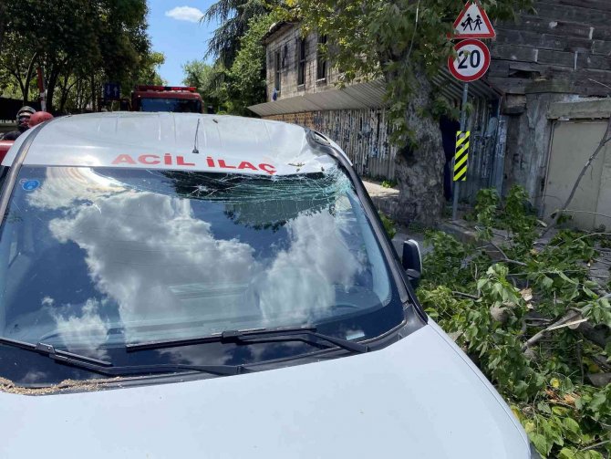 Kadıköy’de Seyir Halindeki Aracın Üzerine Ağaç Devrildi