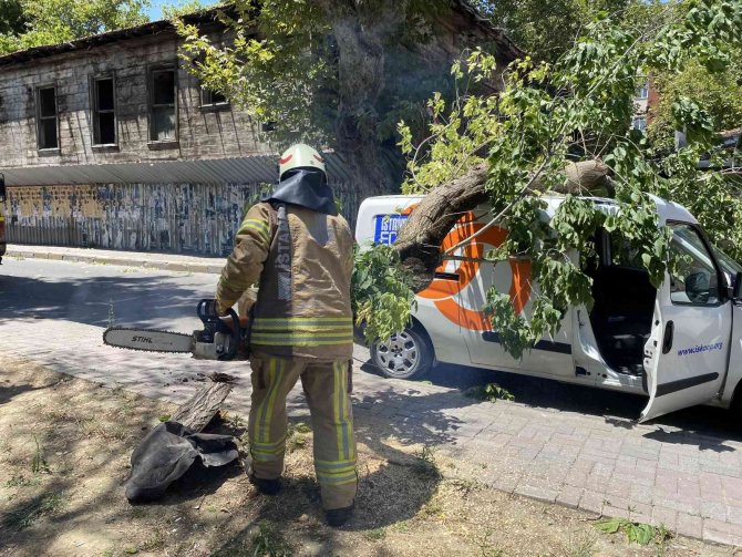 Kadıköy’de Seyir Halindeki Aracın Üzerine Ağaç Devrildi
