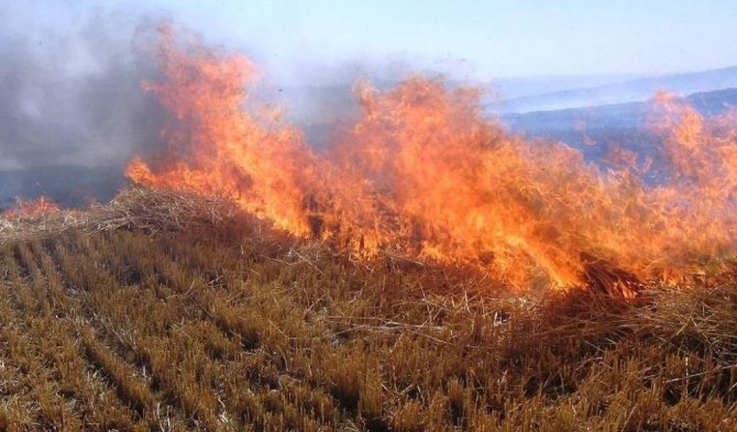 Sıcak Hava Erzincan’da Yangınları Artırdı