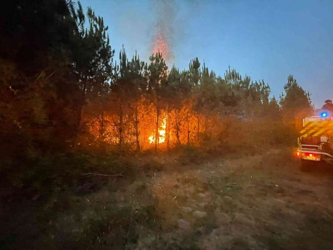 Fransa’daki Orman Yangınları 6’ıncı Gününde: 14 Bin Hektar Alan Yandı