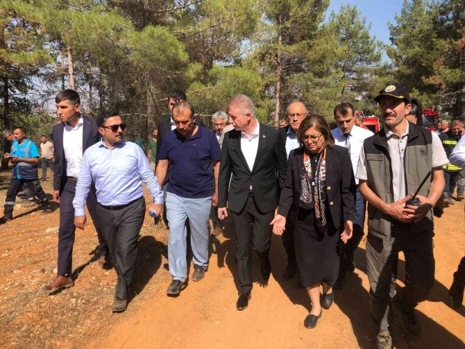 Gaziantep’teki Orman Yangını 1 Saatte Kontrol Altına Alındı