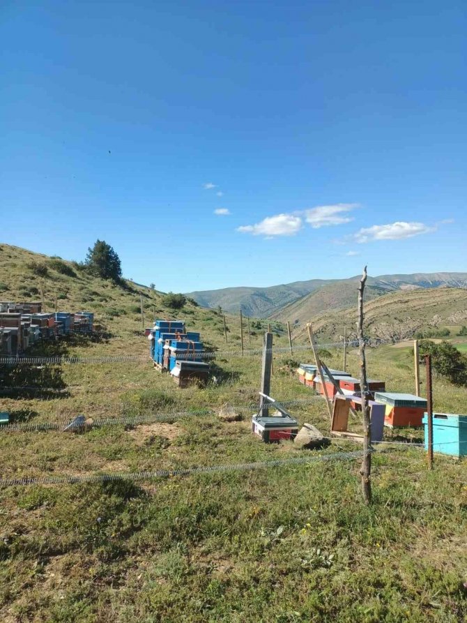 Kovan Hırsızları Kıskıvrak Yakalandı