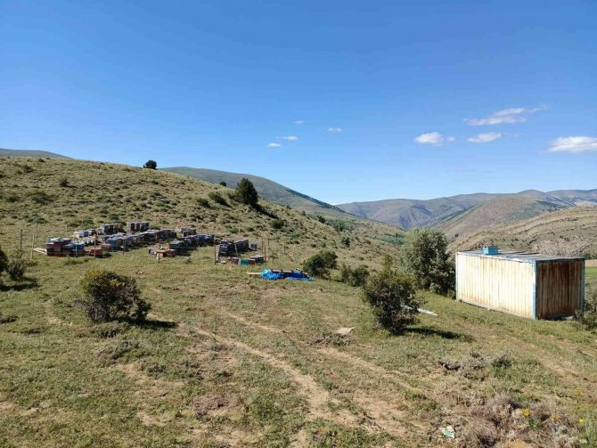 Kovan Hırsızları Kıskıvrak Yakalandı