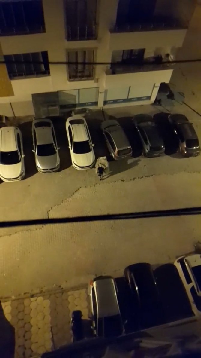Elazığ’da Hırsız, Çaldığı Televizyonu El Arabasıyla Götürdü
