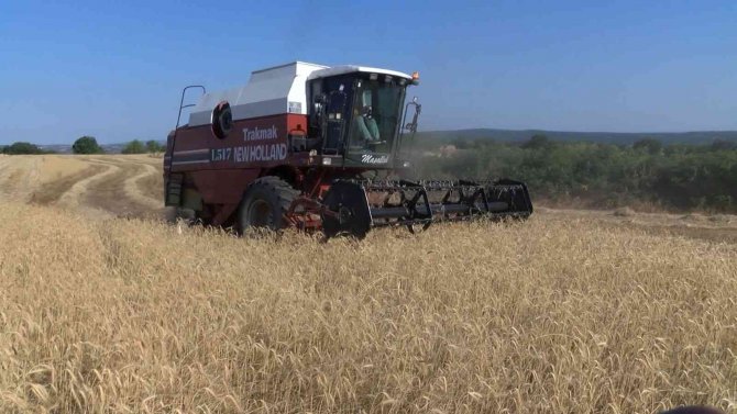 Kırklareli’de Buğday Hasadında Sona Gelindi, Kurak Bölgelerde Verim Düştü