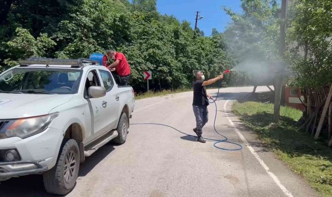 Ordu’da Meyve Dökülmelerine Önlem