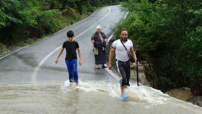 Ordu’da Heyelan Sonucu 4 Ev Hasar Aldı, Bir Köprü Uçtu, Heyelan Yollara Zarar Verdi