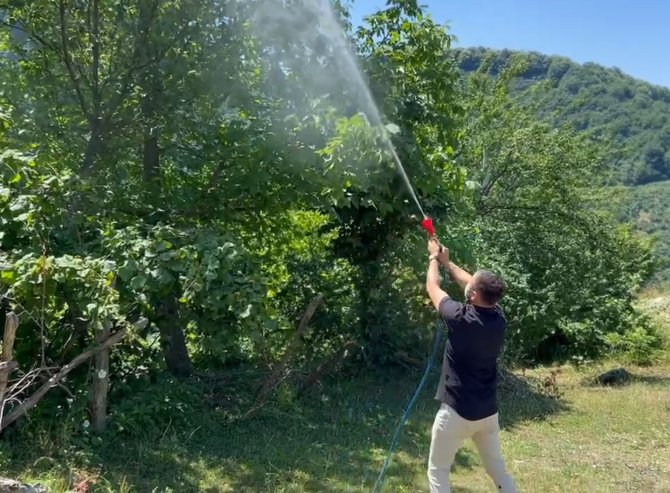 Ordu’da Meyve Dökülmelerine Önlem
