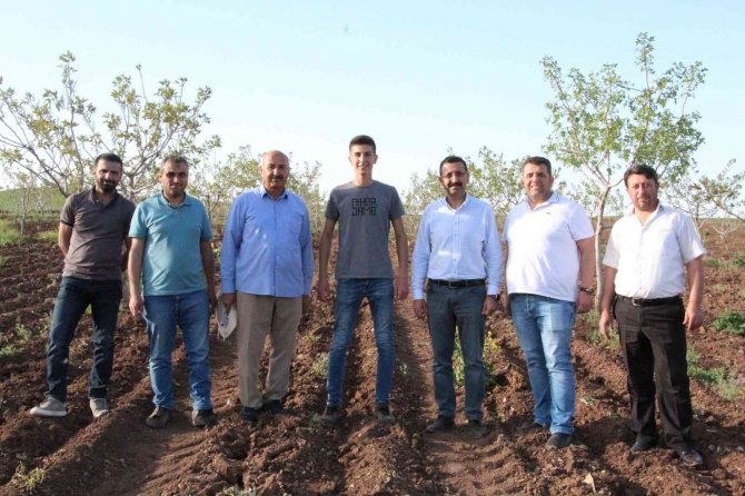 Okumak İçin Geldiği Siirt’te Üretici Olmayı Hedefliyor