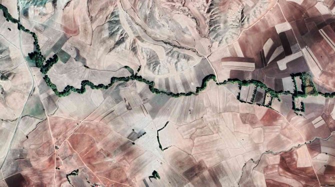 Menderes Görünümlü Orman Dikkat Çekiyor