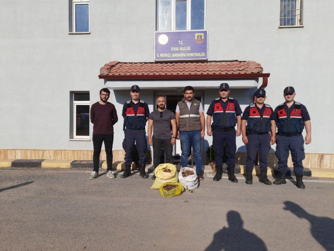 Kaçak Yollarla Toplanan Salebe Servet Değerinde Ceza