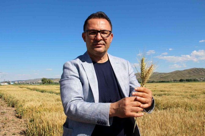 Türk Bilim Adamları 2 Bin 500 Genotip Üzerinde Çalışıyor