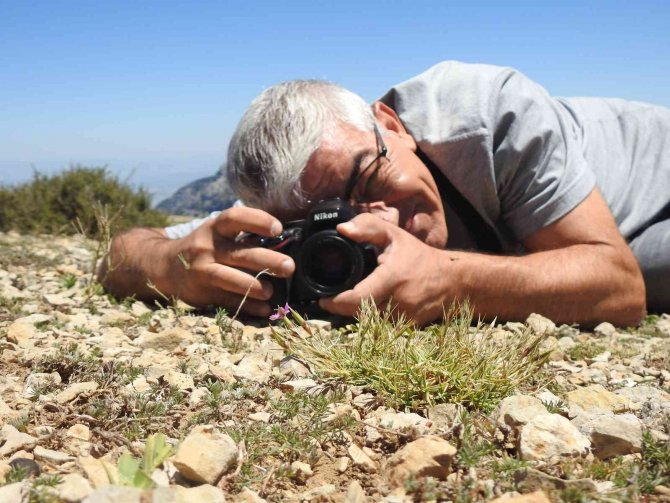 Spil Dağı Milli Parkı’nın Endemik Tür Bitki Ve Çiçekleri Fotoğraflandı