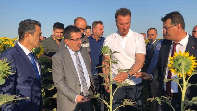 Tarım Ve Orman Bakan Yardımcısı Pakdil: “Edirne Ve Kırklareli’nde Çayır Tırtılı Sorununu Hemen Hemen Bitti Diyebiliriz”