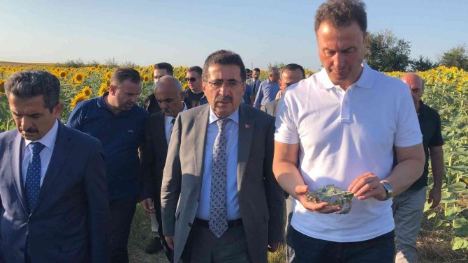 Tarım Ve Orman Bakan Yardımcısı Pakdil: “Edirne Ve Kırklareli’nde Çayır Tırtılı Sorununu Hemen Hemen Bitti Diyebiliriz”