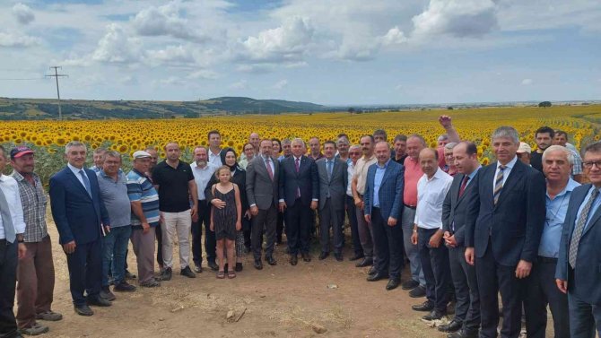 Bakan Yardımcısı Pakdil’den Tırtıl İstilası Konusunda Rahatlatan Açıklama: “Ürkütücü Bir Tablo Yok”