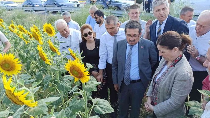 Tarım Ve Orman Bakan Yardımcısı Pakdil: "Rekolte Açısından Bir Kaybımız Olmaz"