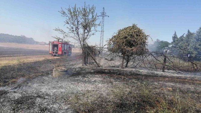 Sigara İzmariti Anız Yangınına Neden Oldu