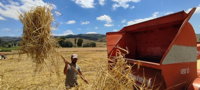 Kışlık Yem Hazırlıkları Hızlandı