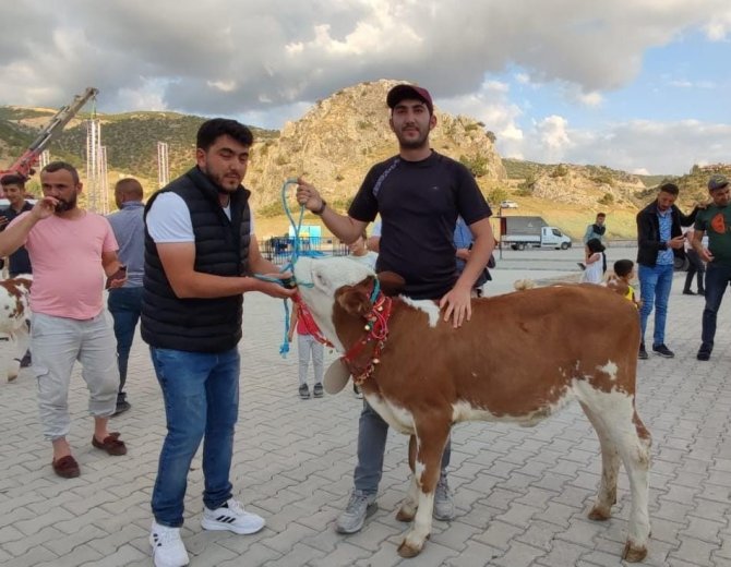 Yozgat’ta Koç Ve Buzağı Güzellik Yarışması Yapıldı