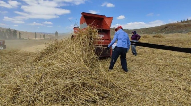Kışlık Yem Hazırlıkları Hızlandı
