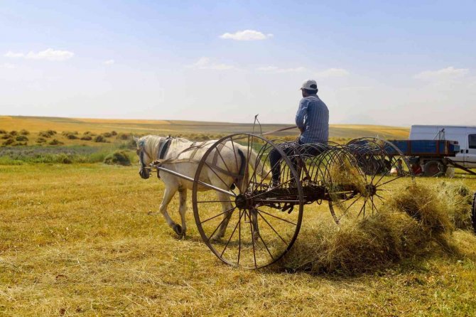 Toprağın Emekçileri Kavurucu Sıcaklar Altında Ter Döküyor