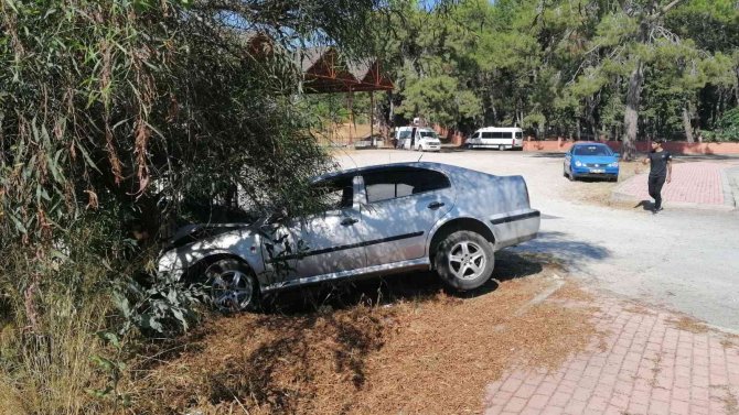 Virajı Alamayan Otomobil Ağaca Çarptı: 1 Yaralı