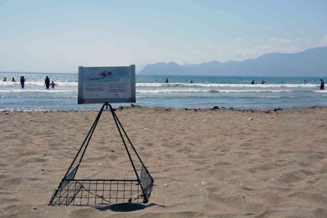 Deniz Kaplumbağası Yuva Sayısında İklim Krizi Etkisi