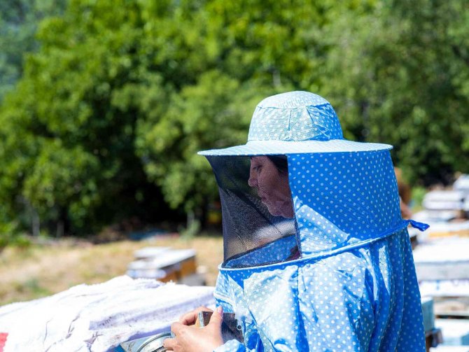 Şifa Deposu Kekik Hem Üreticisini Hem De Arıcıları Sevindirdi