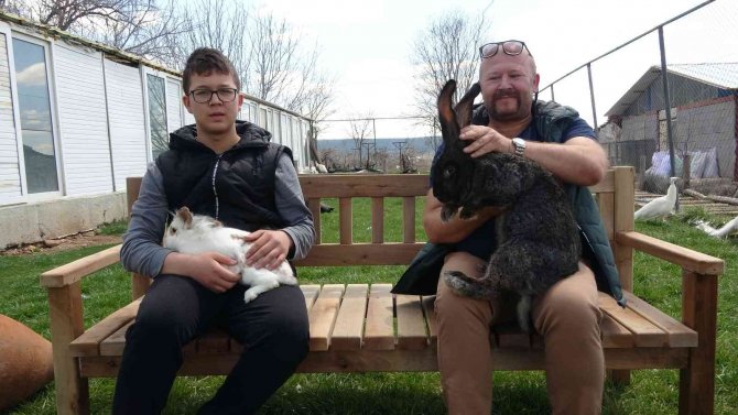 Yetiştirdiği Dev Velikan Tavşanlarla Herkesi Şaşırtıyor