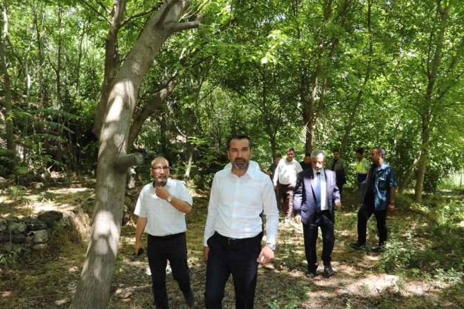 Başkan Şerifoğulları: “Harput’umuzu Yepyeni Değerlerle Geleceğe Hazırlıyoruz”